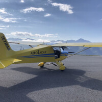 Tétras posé sur une altisurface et montagnes de Pyrénées en fond